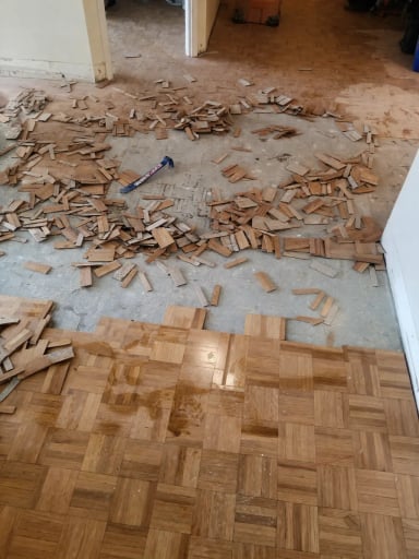 Floor Removal